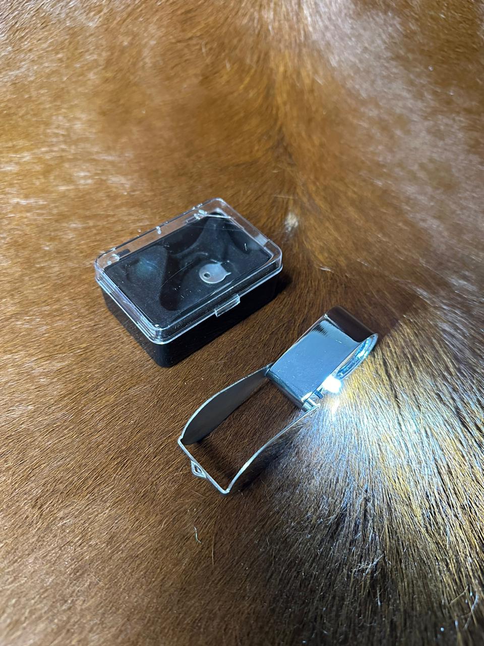 WhatsApp Image 2024-02-02 at 06.24.03 (1)