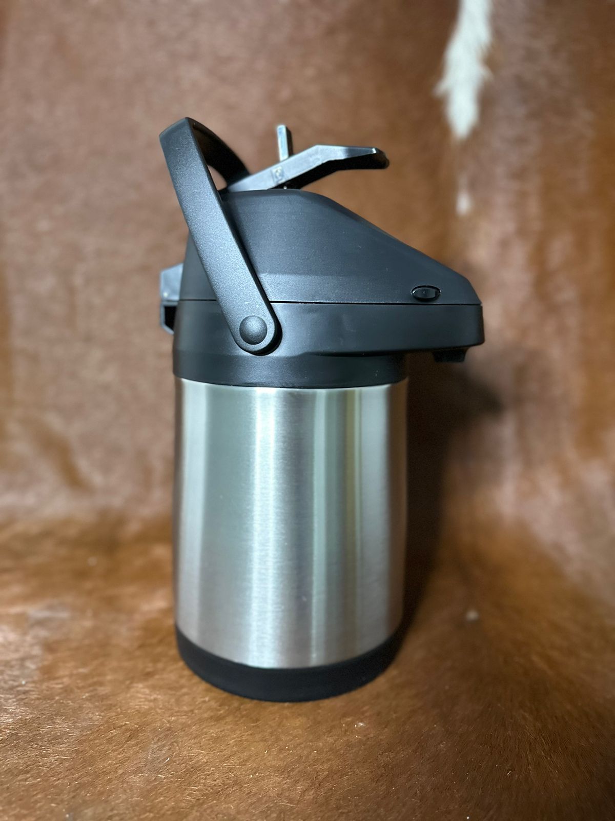 WhatsApp Image 2024-02-02 at 06.24.15